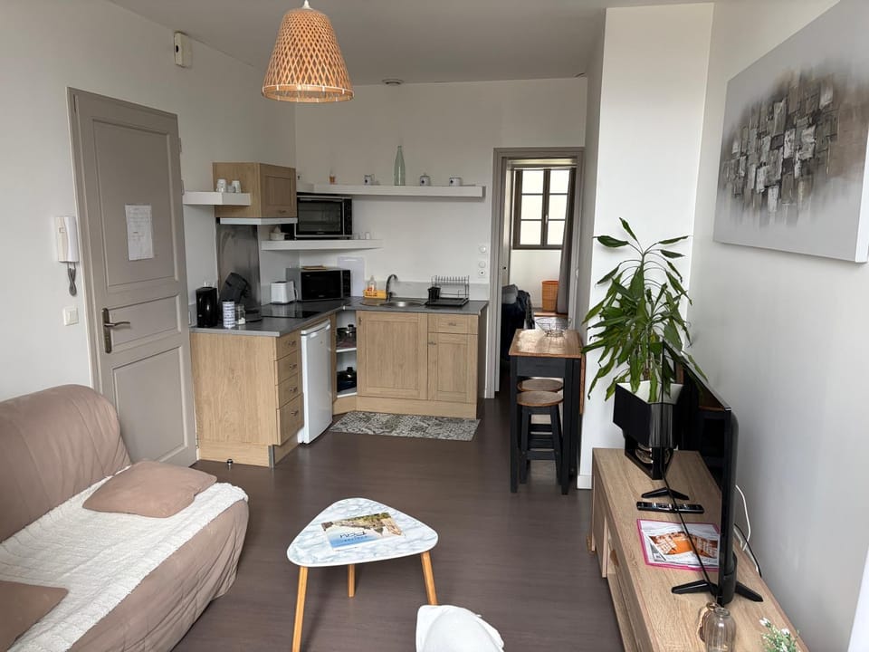 centre Pau proche Chateau et gare 33 m2 Apartment in Pau