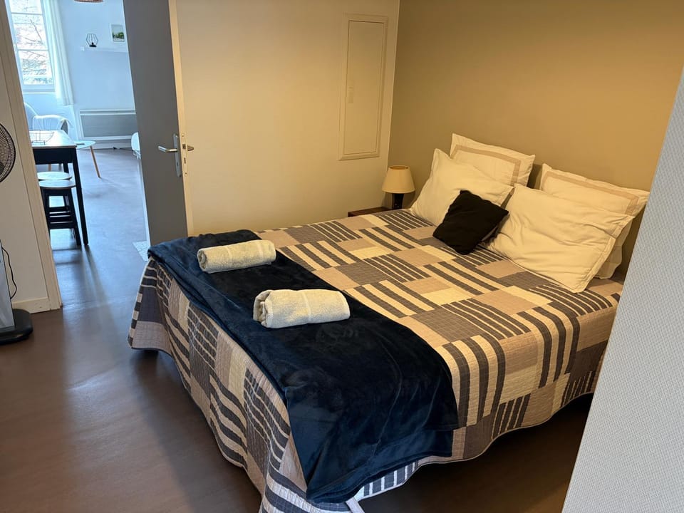 centre Pau proche Chateau et gare 33 m2 Apartment in Pau