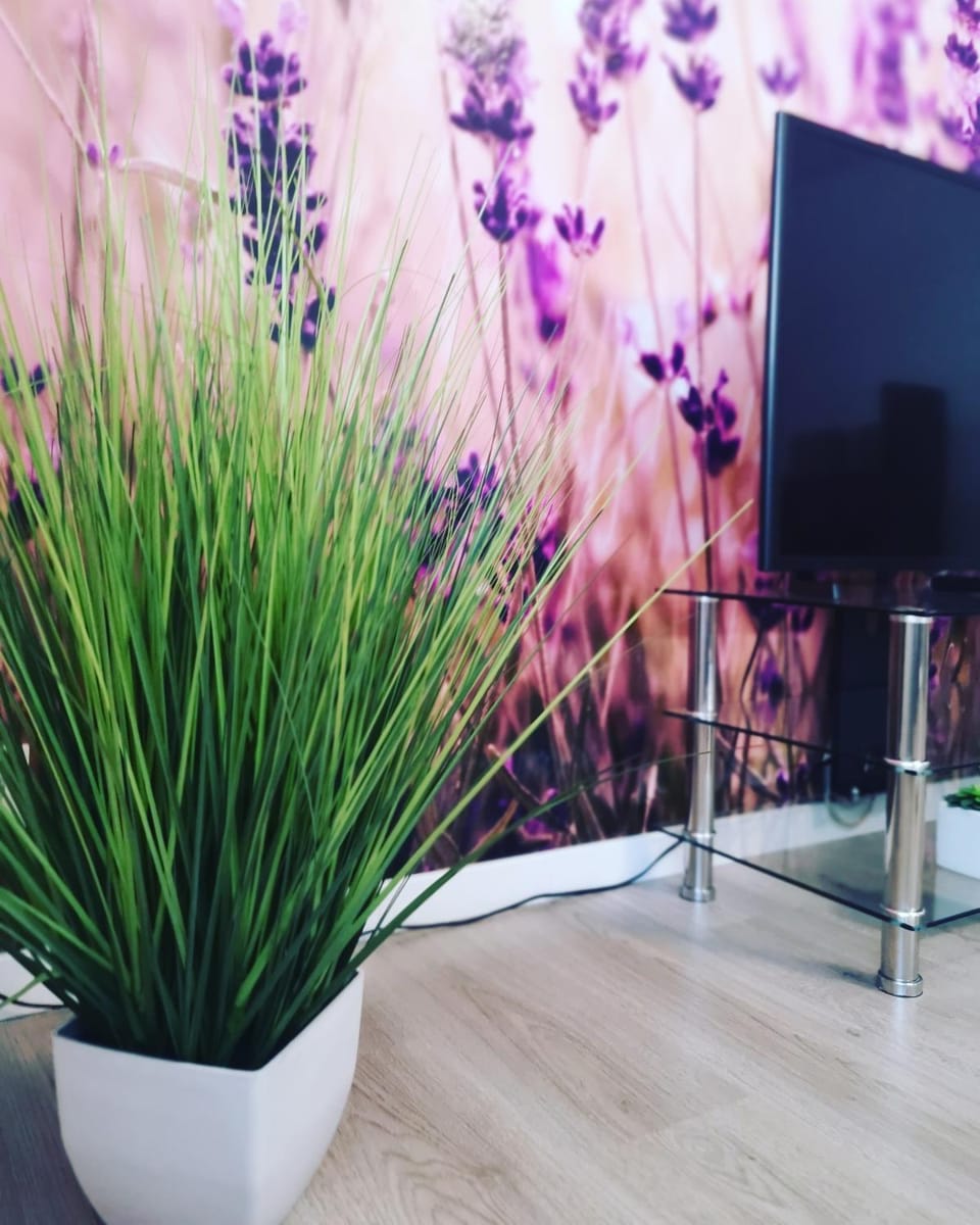 Ferienwohnung Lavanda Apartment in Rust