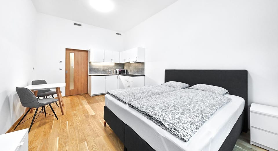 Bed, Kitchen or kitchenette, Living room, Photo of the whole room, Bedroom