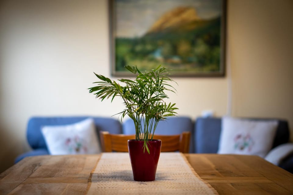 Living room, Decorative detail, Seating area