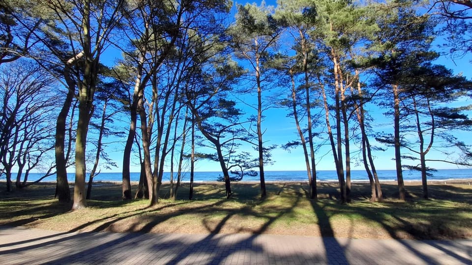 Natural landscape, Beach, Sea view