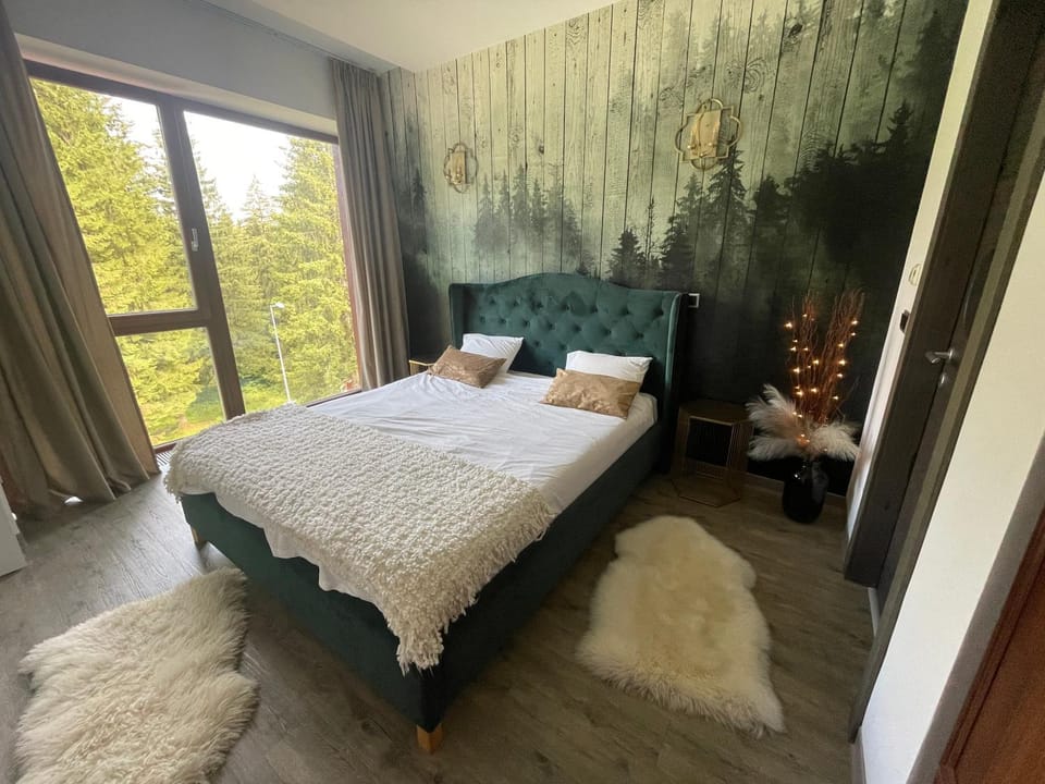 Luxury Silver Mountain Apartment Apartment in Brasov