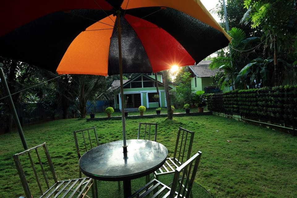 Garden view