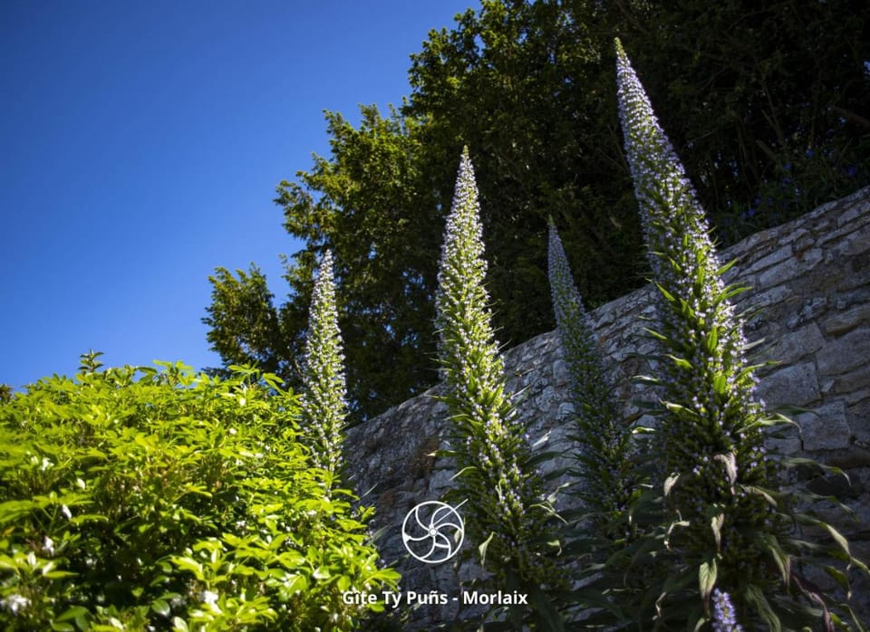 Spring, Natural landscape, Garden, Garden, Garden view, Garden view