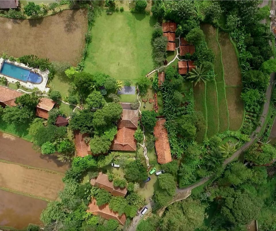 Property building, Day, Natural landscape, Bird's eye view, Garden, Garden view, Pool view