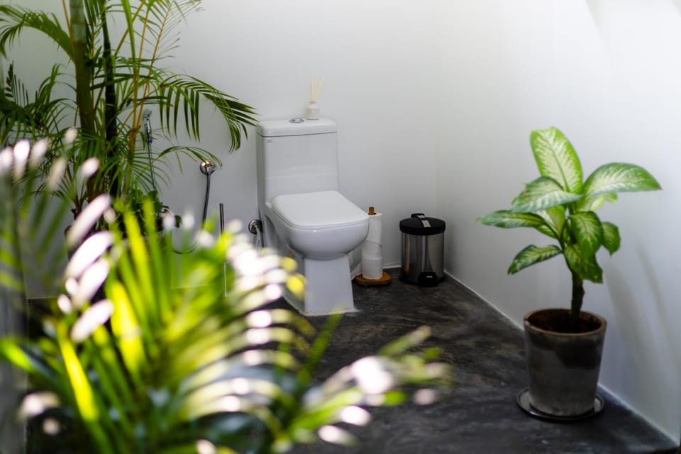 Toilet, Bathroom