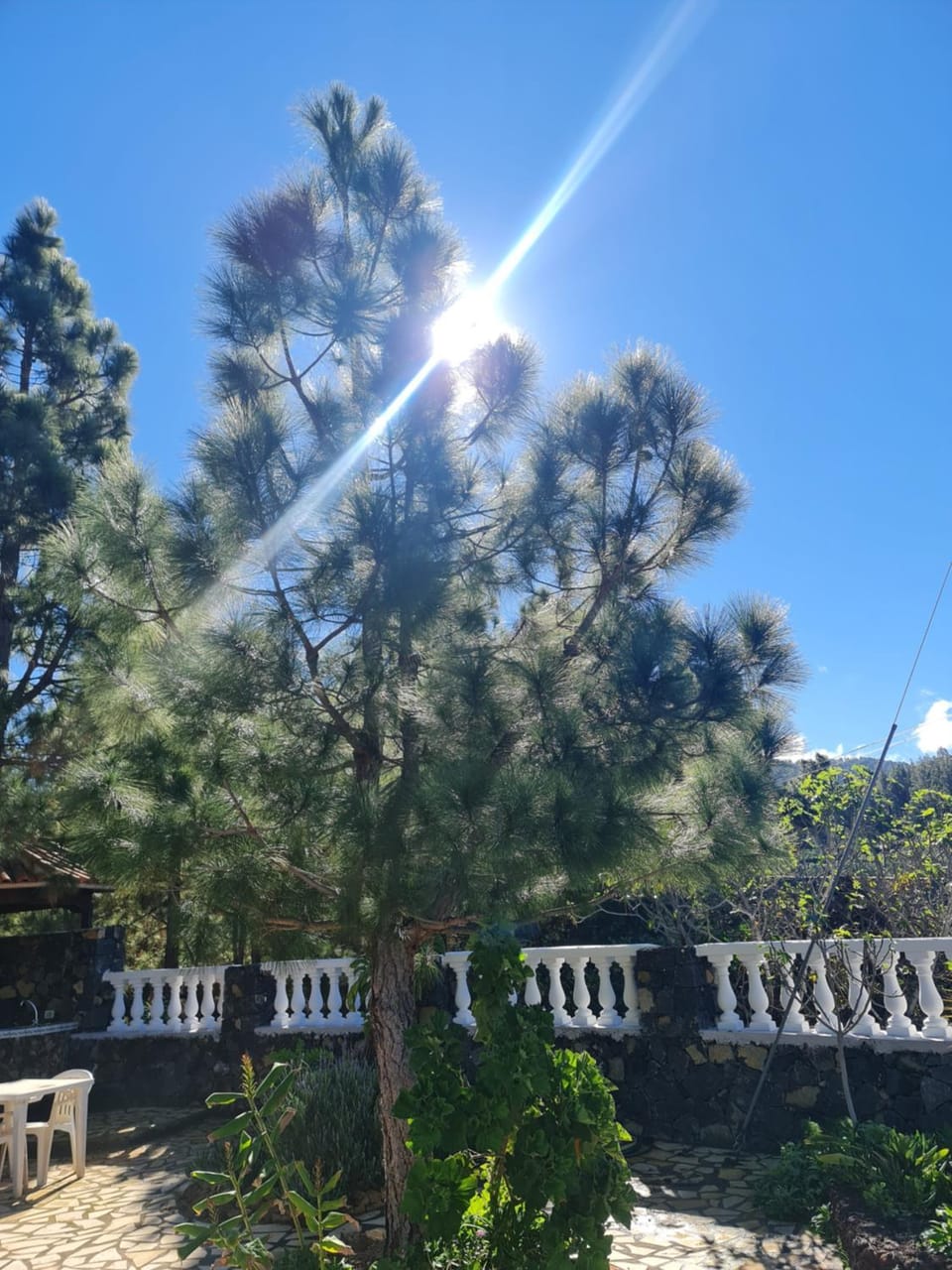 Day, Garden view