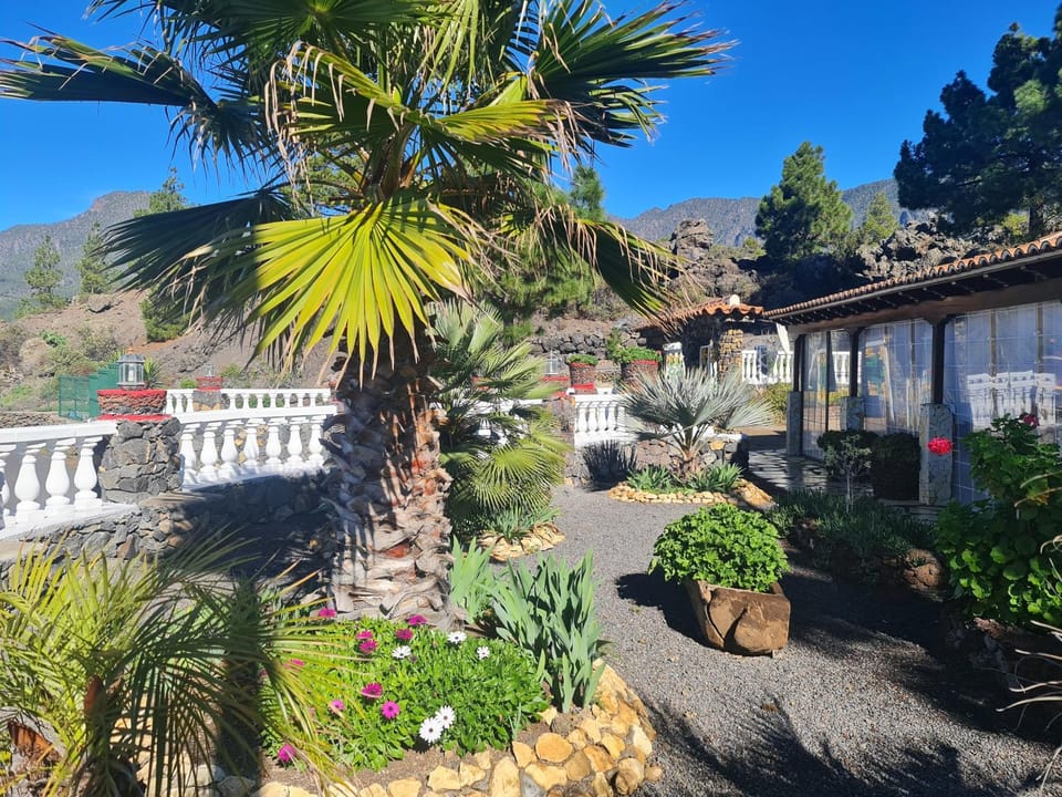 Natural landscape, Garden, Garden view