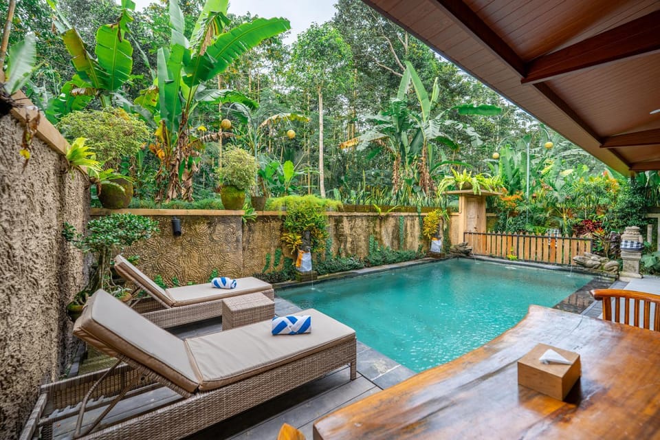Pool view, Swimming pool