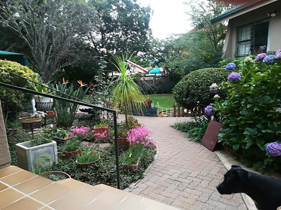 Garden, Garden view, Garden view