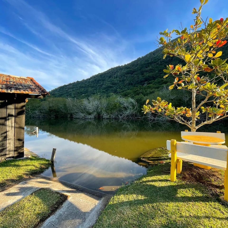 Lake view