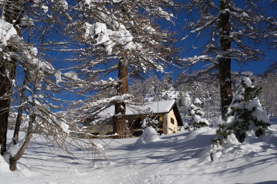 Property building, Restaurant/places to eat, Natural landscape, Bird's eye view, Winter, Skiing, Balcony/Terrace, Lounge or bar, Hiking, Cycling, Pets, Mountain view, Lunch, Dinner, Alcoholic drinks, Non alcoholic drinks, group of guests, Family