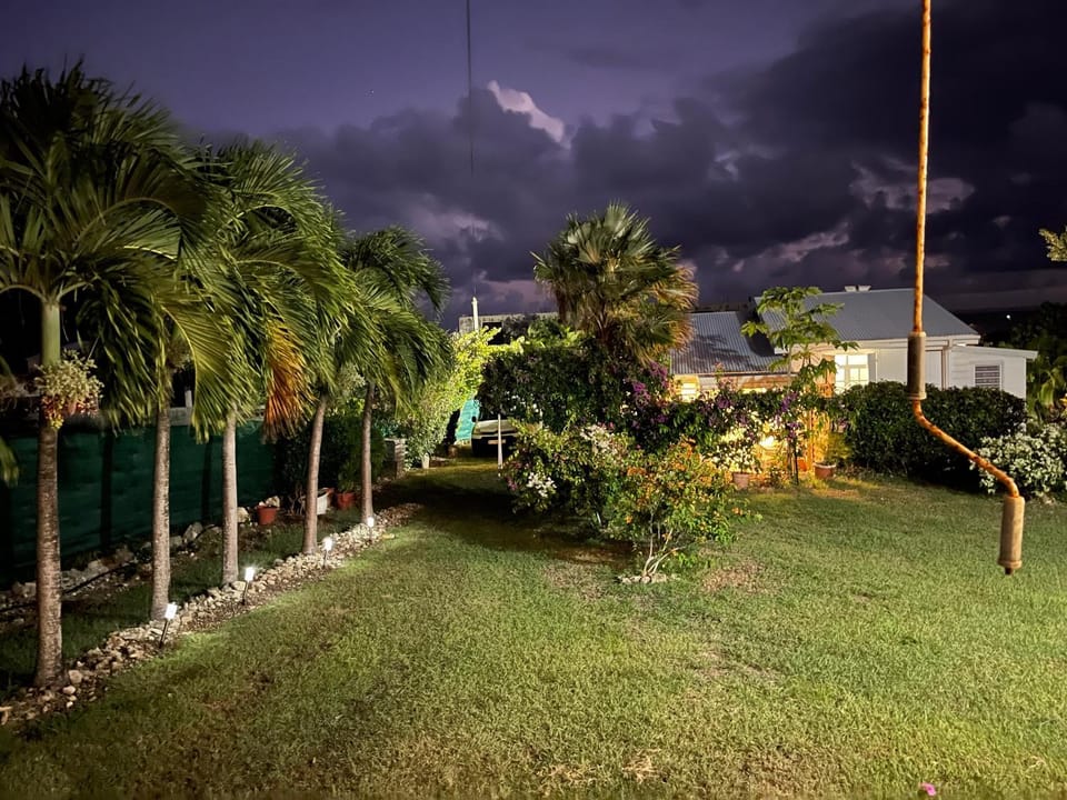 Garden, Garden view, Sunset