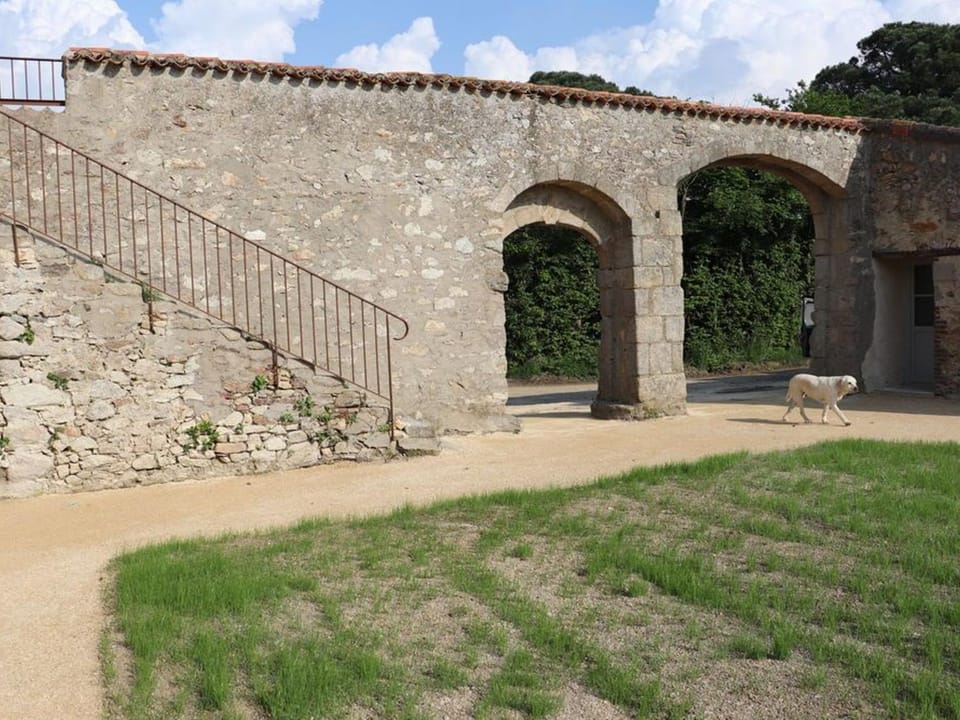 Gîte 18ème avec piscine couverte, terrasse et salle de jeux - 6 pers - FR-1-426-432 House in Pays de la Loire