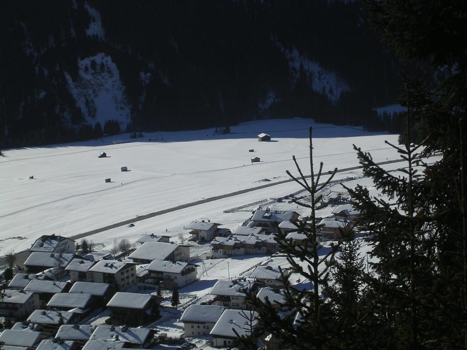 Area and facilities