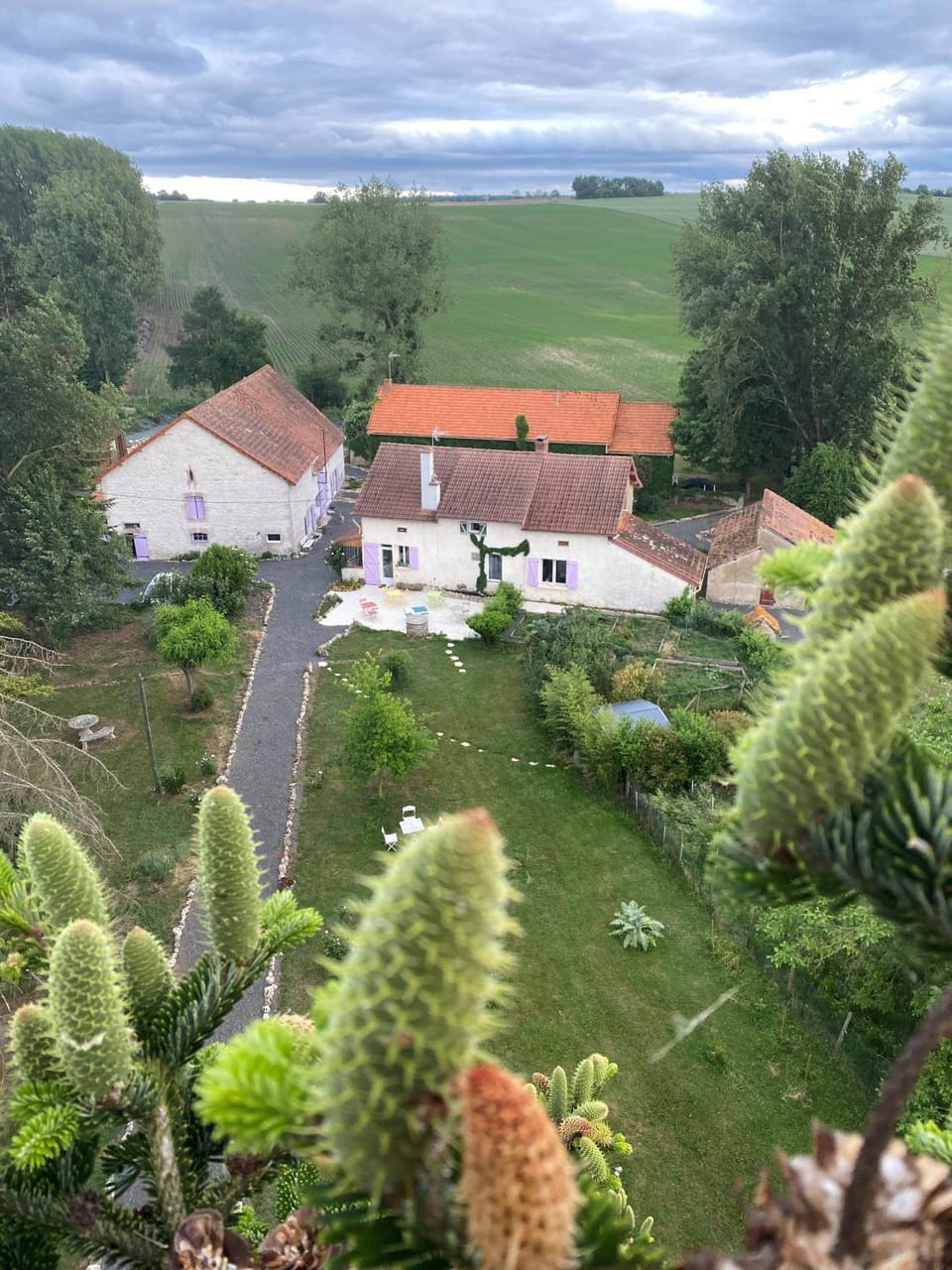 Property building