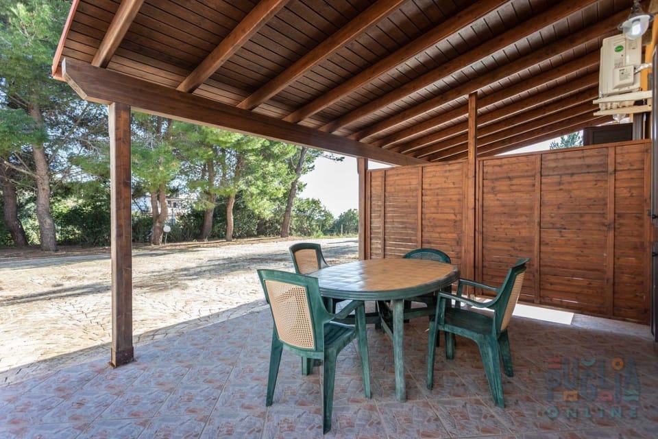 Patio, Day, Dining area