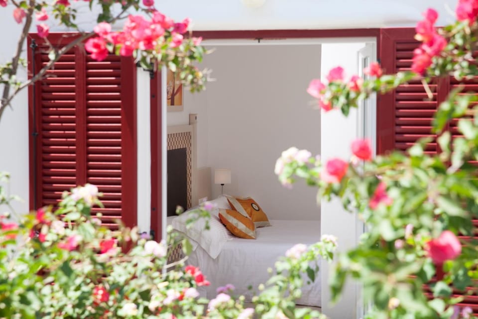 Domna Hotel Hotel in Mykonos