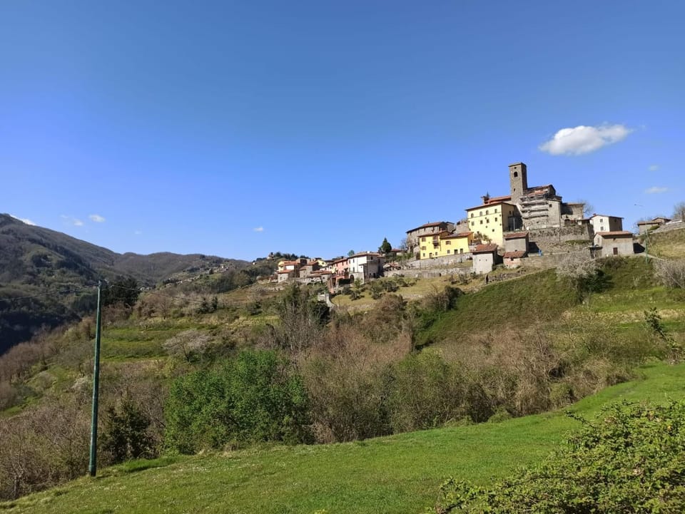 Neighbourhood, Natural landscape