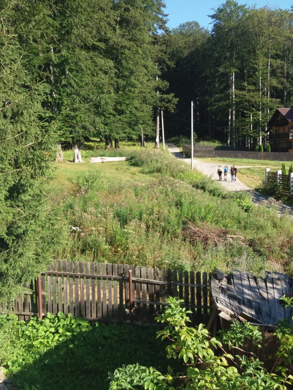 Garden view