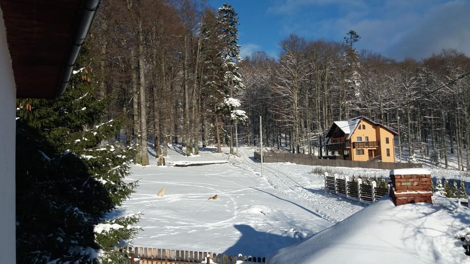 Winter