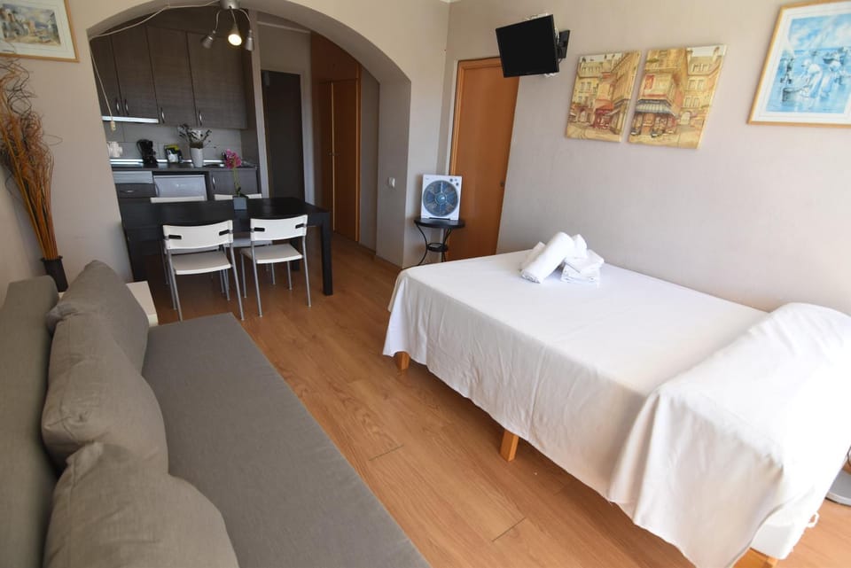TV and multimedia, Kitchen or kitchenette, Photo of the whole room, Seating area, Bedroom