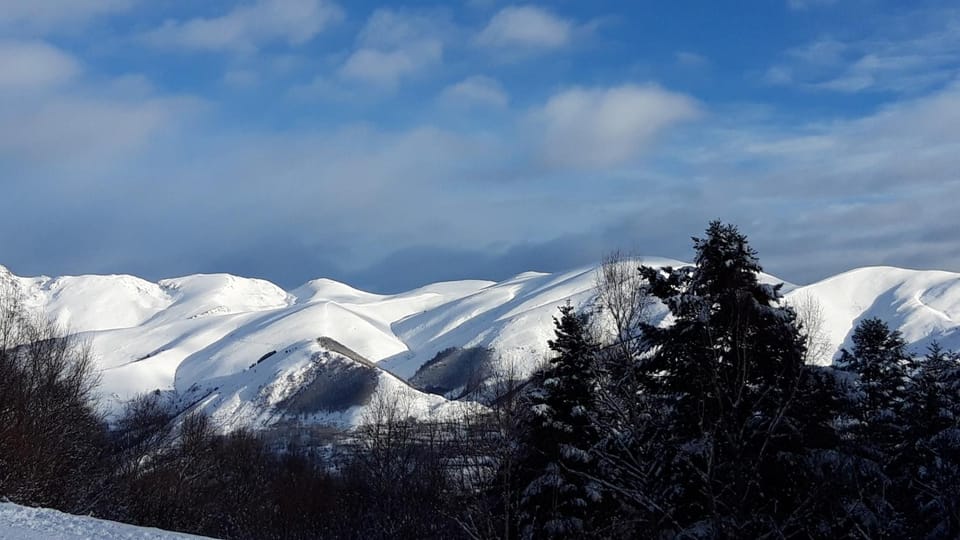 Mountain view