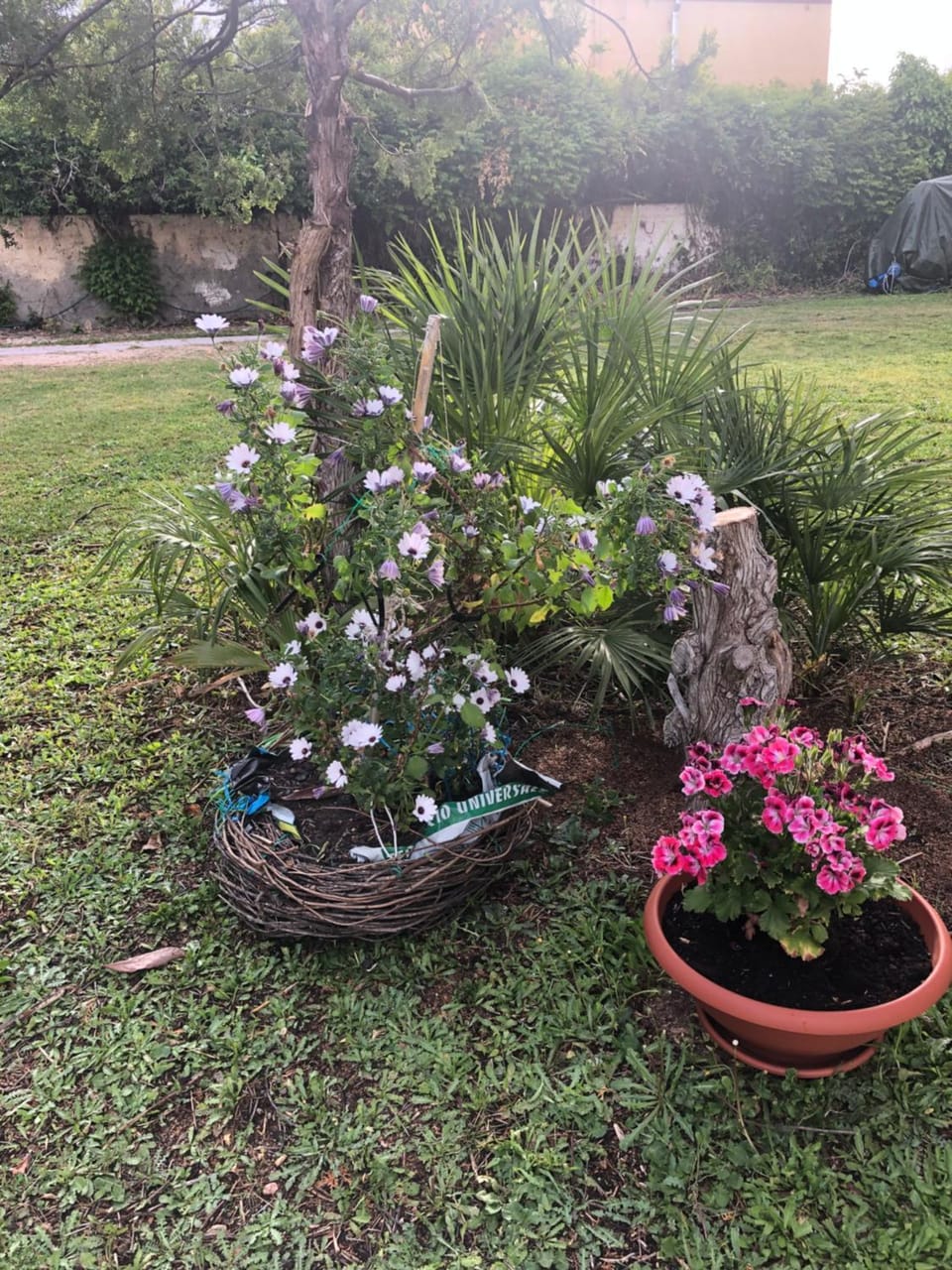 La Lantana Nuova Bed and Breakfast in Quartu Sant'Elena