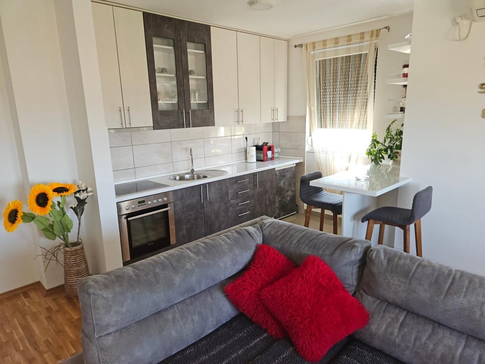 Apartment M&G Lux Apartment in Vojvodina