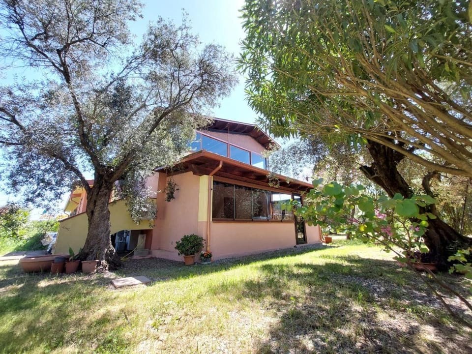 Day, Summer, Garden, Garden view