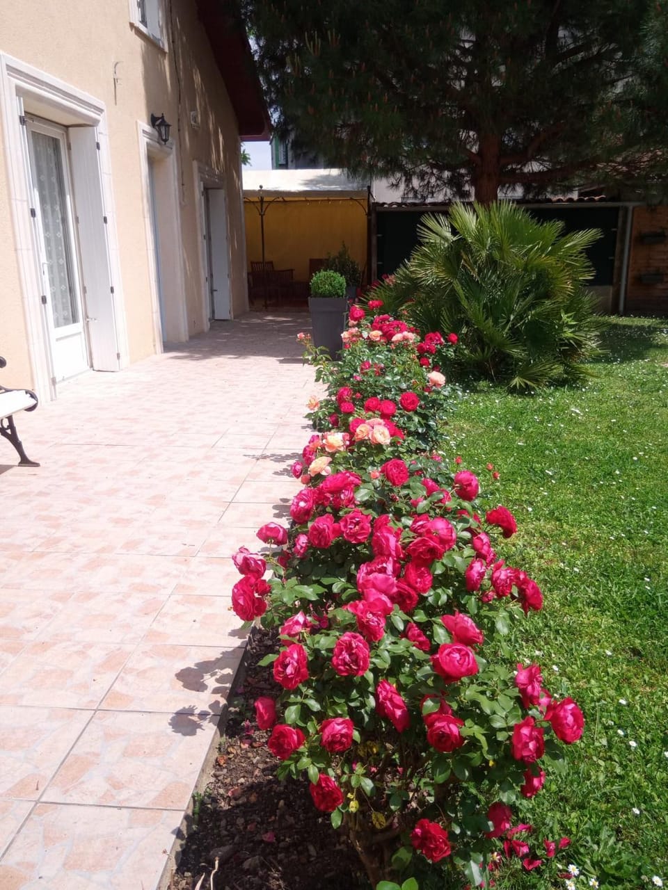 Garden view