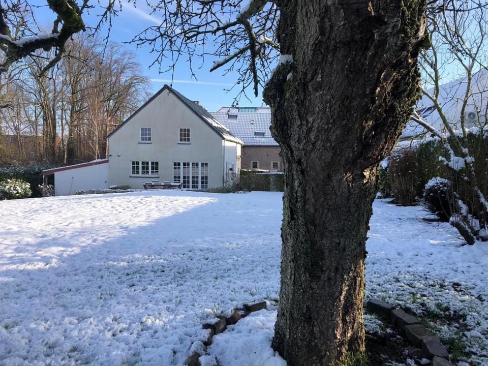 Property building, Winter