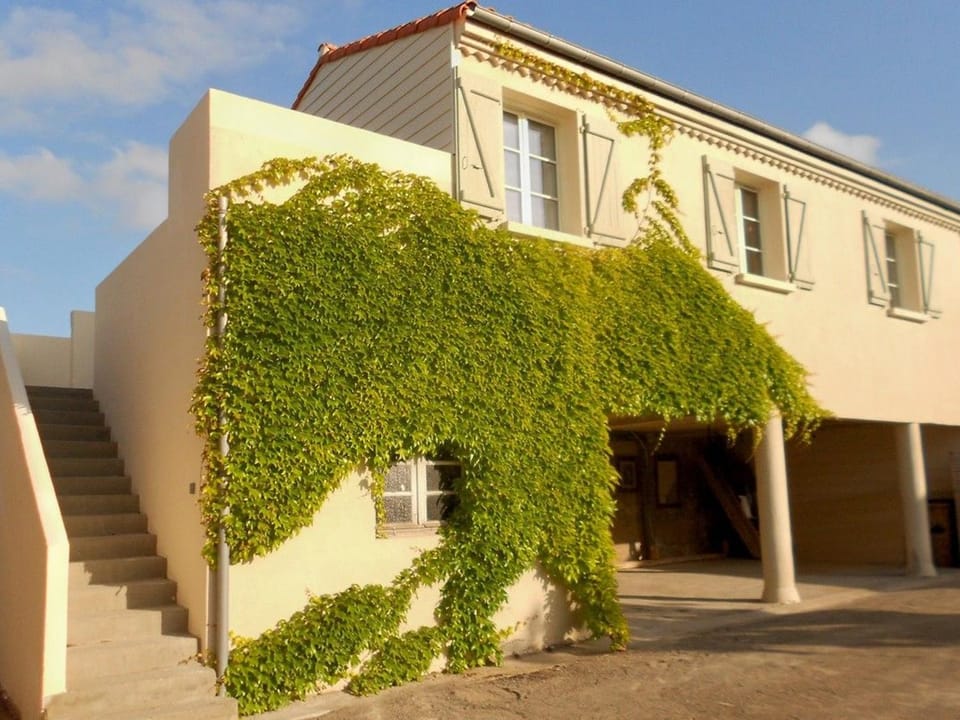 Gîte en plein bourg avec terrasse ensoleillée, vélos à disposition et parking – proche thalasso et plages - FR-1-426-290 House in Talmont-Saint-Hilaire