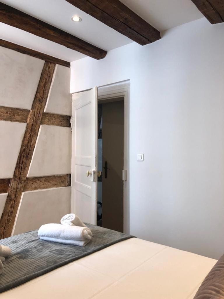 Les appartements du Koifhus Apartment in Colmar