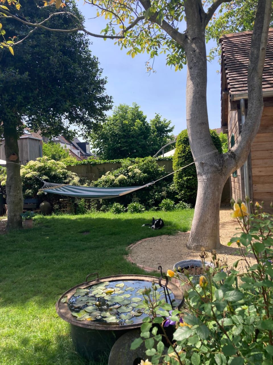 Tree & B Bed and Breakfast in Bruges