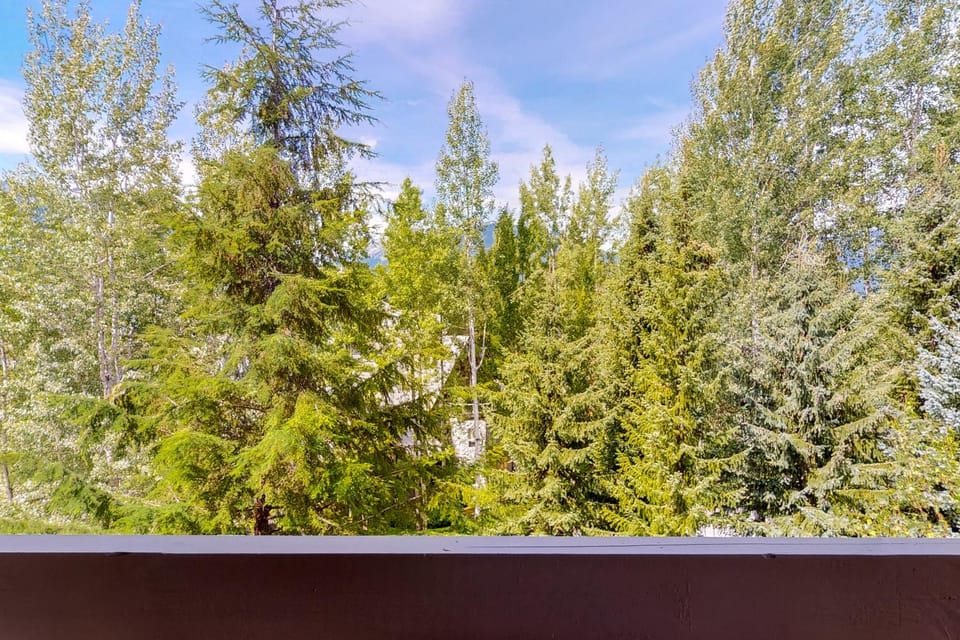 Greystone Lodge 314 Apartment in Whistler