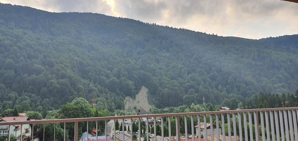 Belleview Relax Sinaia Apartment in Sinaia