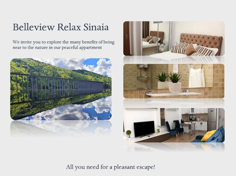 Belleview Relax Sinaia Apartment in Sinaia