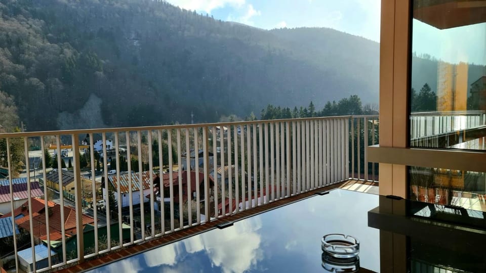 Belleview Relax Sinaia Apartment in Sinaia