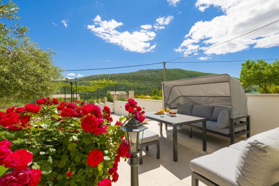 Garden, Balcony/Terrace
