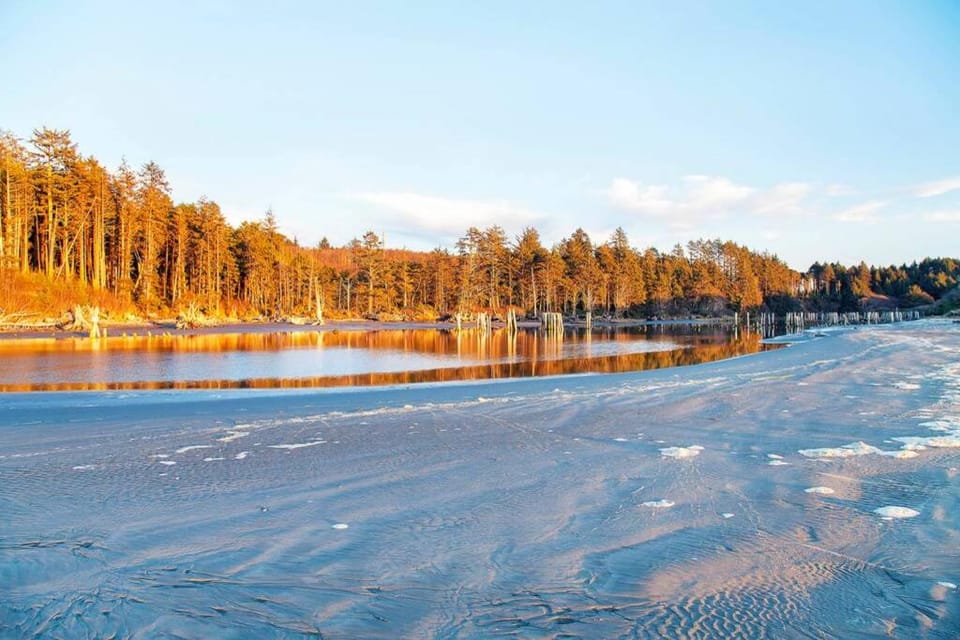 Beachside Condo next to the Moclips River House in Moclips