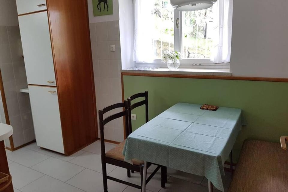 Welcome to enjoy Maribor ! Apartment in Slovenia