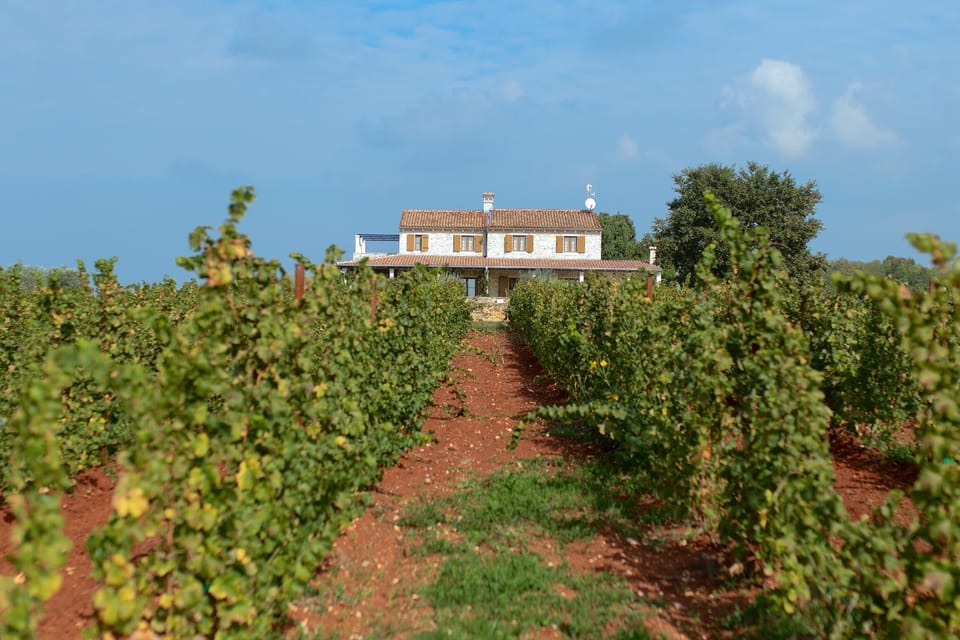 Stancija Katarina di Maladel Villa in Istria County