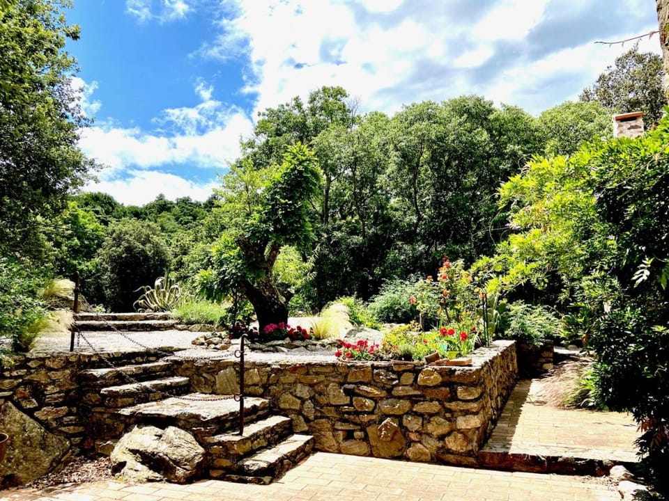 Nearby landmark, Spring, Day, Natural landscape, Garden, Garden view