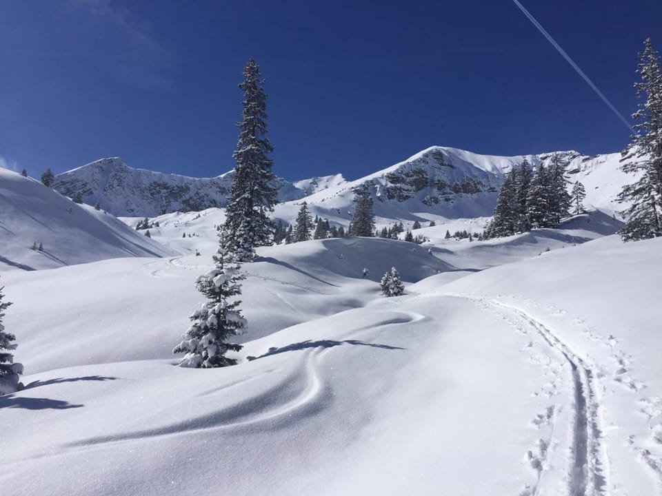 Natural landscape, Skiing
