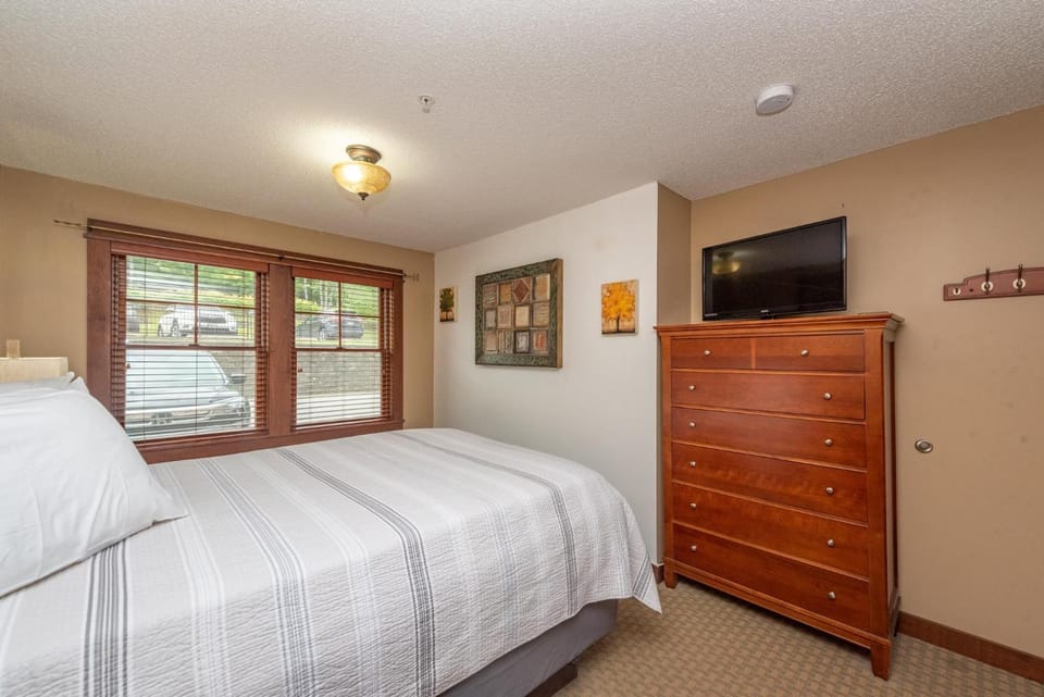 A120 One Bedroom Standard View Apartment in Deep Creek Lake