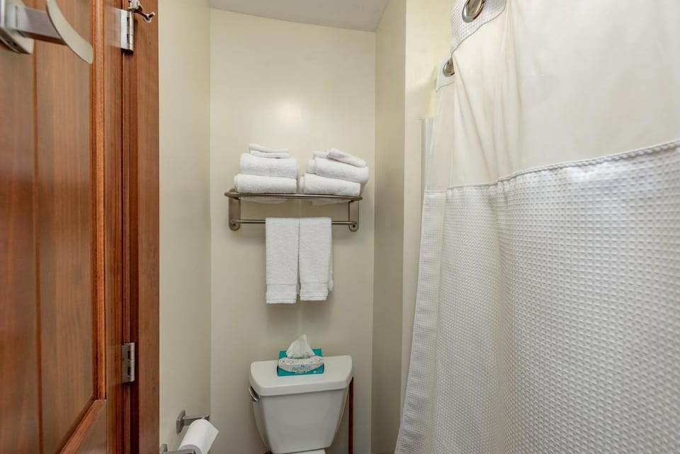A310 Studio & Loft Standard View Apartment in Deep Creek Lake