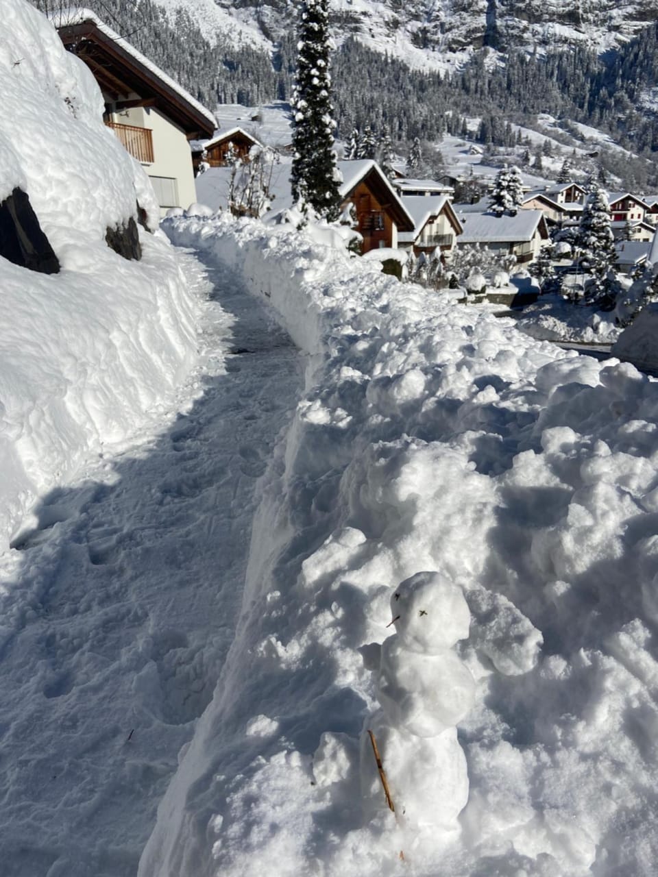 Property building, Neighbourhood, Game Room, Garden, Other