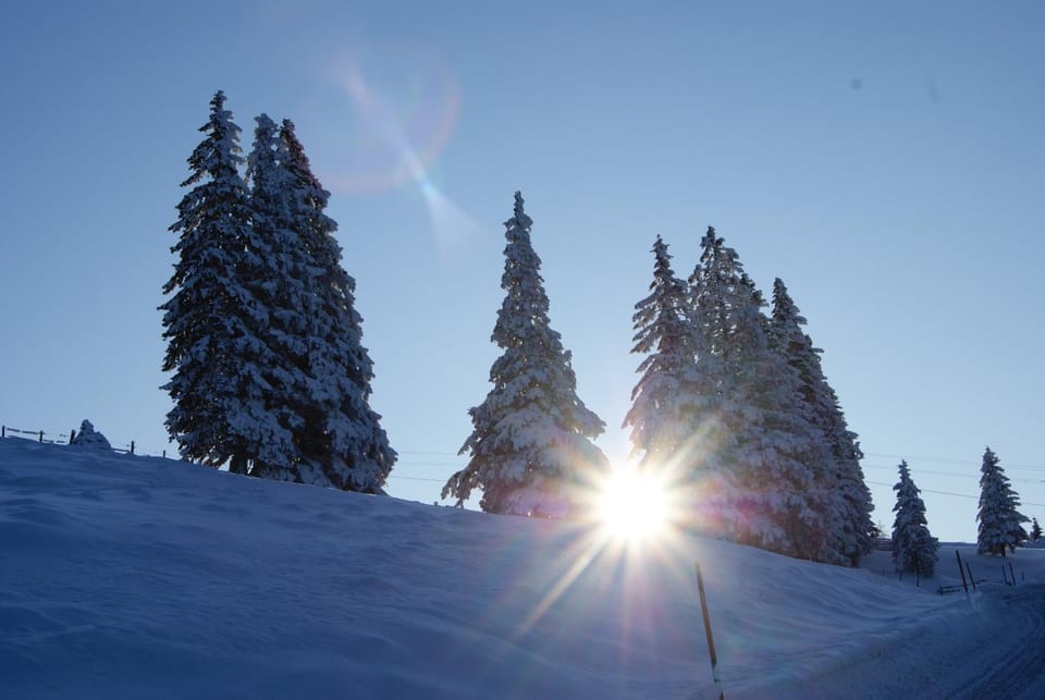 Winter, Area and facilities